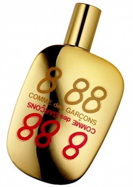 Comme Des Garcons 888 EDP 50 ml Unisex Parfümü kullananlar yorumlar